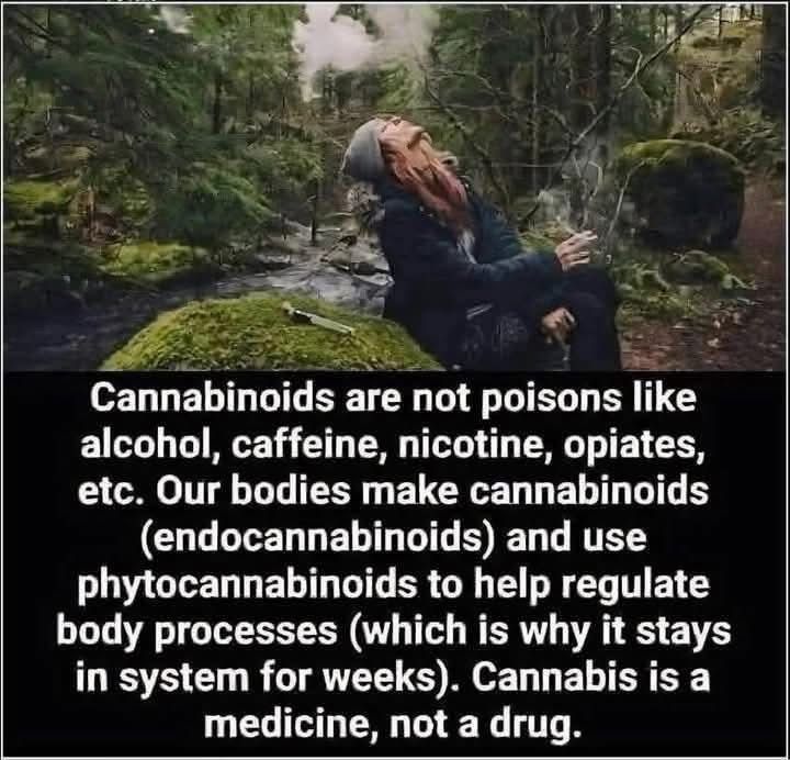 kjøp cannabis mot angst og søvnløshet i Norge;