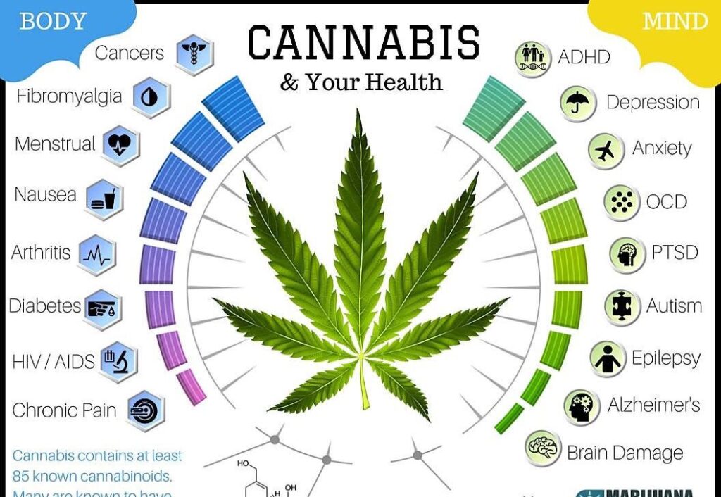 Kjøp marihuana mot angst, depresjon, søvnløshet, PTSD, ADHD, fra ditt nettapotek i Norge