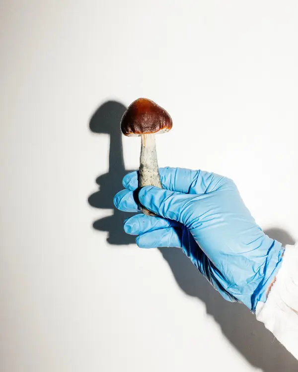 kjøp psykedelisk på nett i Norge